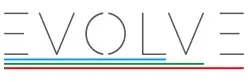 Evolve Srl